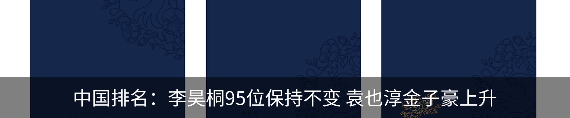新闻动态