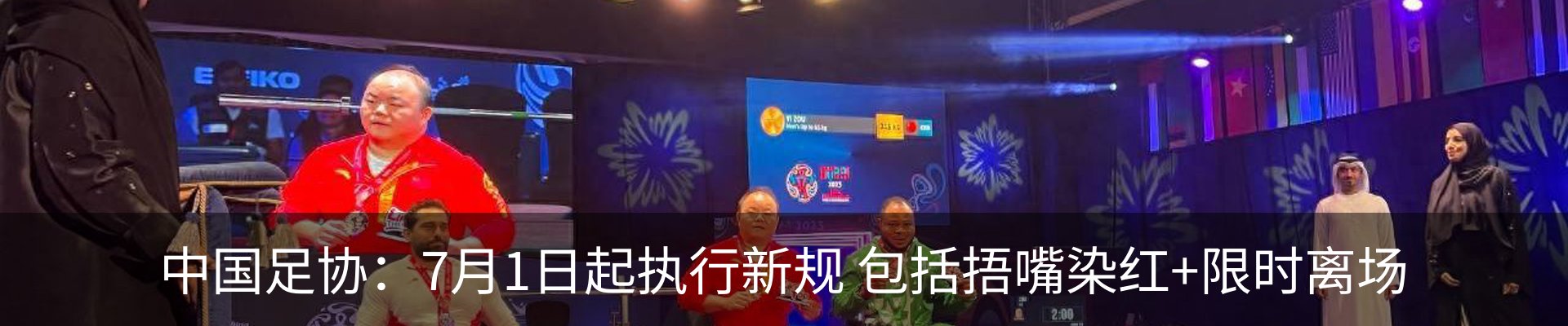 新闻动态