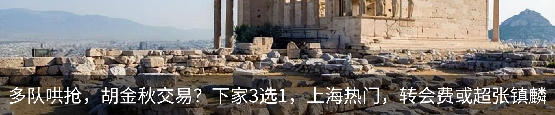 新闻动态