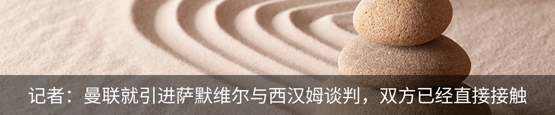 新闻动态