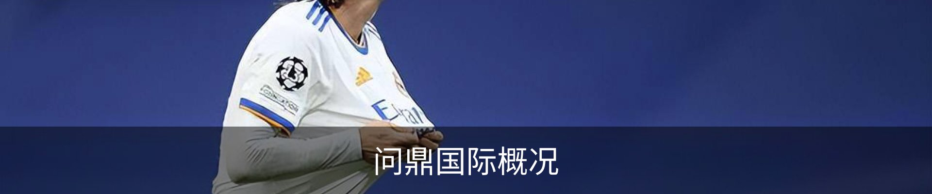 问鼎国际概况