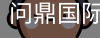 问鼎国际
